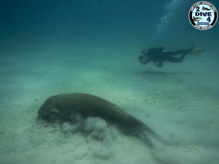 coron 102